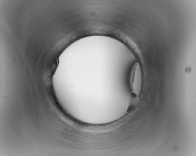 X0000091070017200709041229