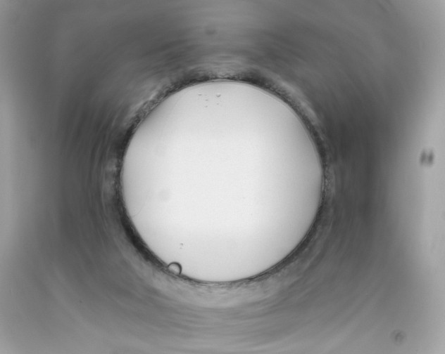 X0000091070018200709041229