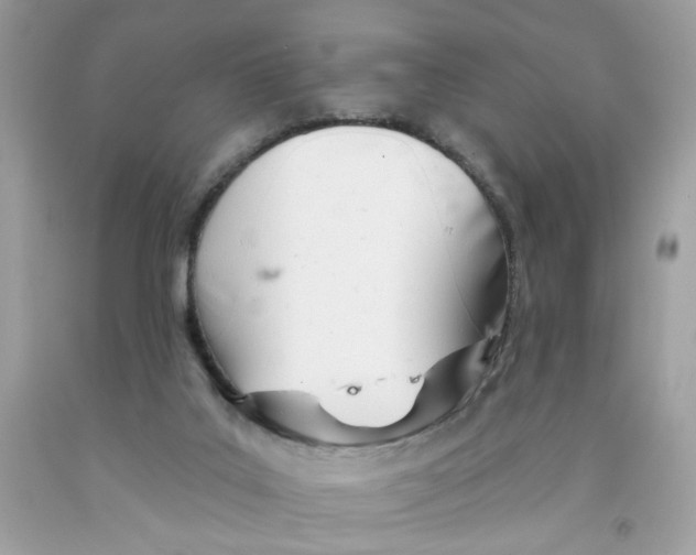 X0000091070019200709041229