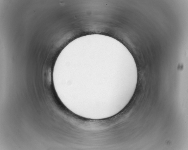 X0000091070020200709041229