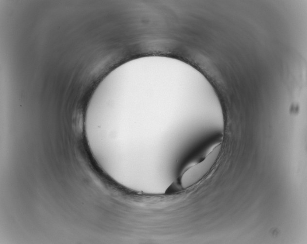 X0000091070021200709041229