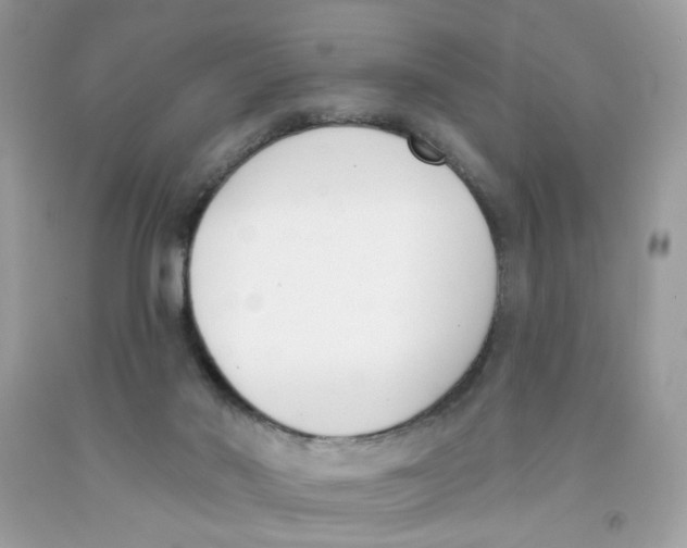 X0000091070022200709041229