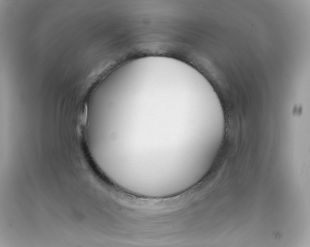 X0000091070023200709041229