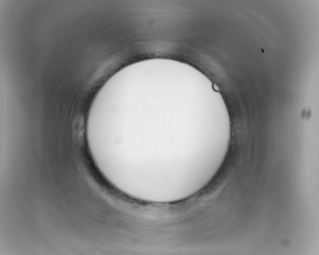 X0000091070024200709041229