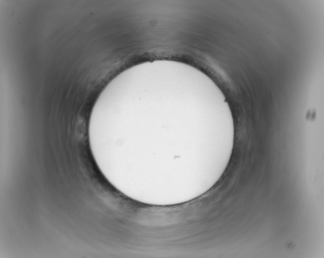 X0000091070025200709041229