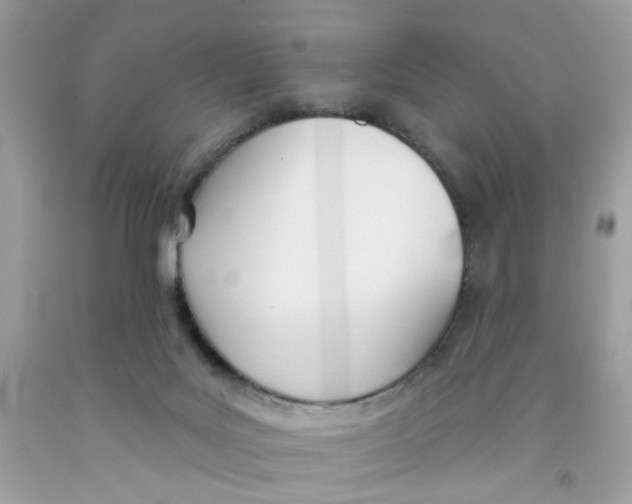 X0000091070027200709041229