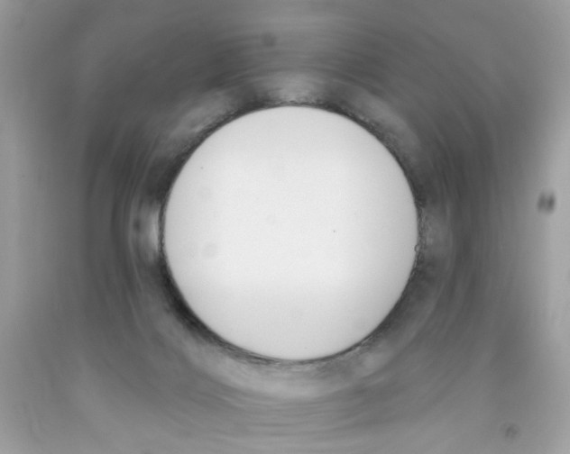 X0000091070028200709041229