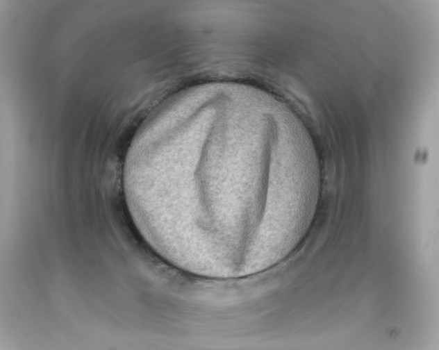 X0000091070029200709041229