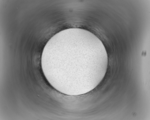 X0000091070030200709041229