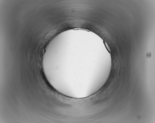 X0000091070031200709041229