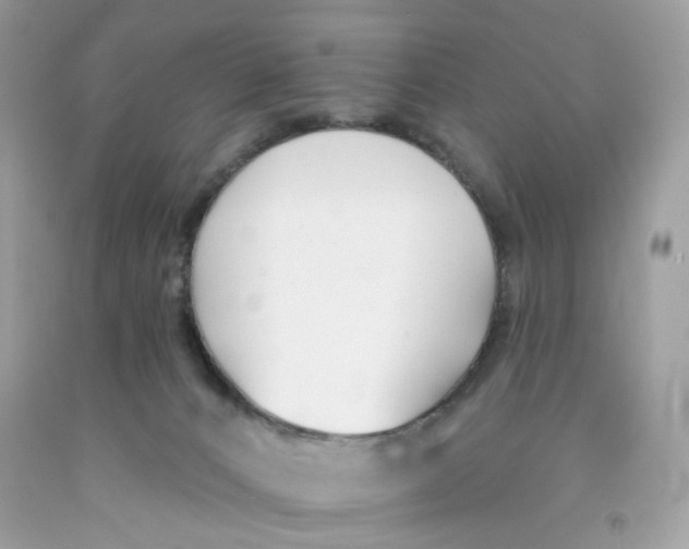 X0000091070032200709041229