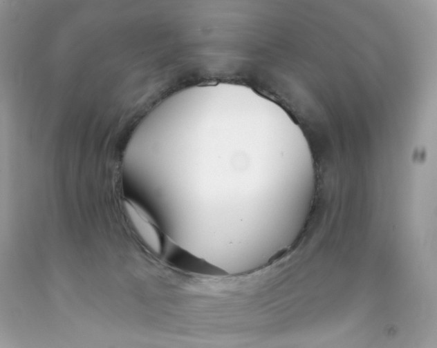 X0000091070033200709041229