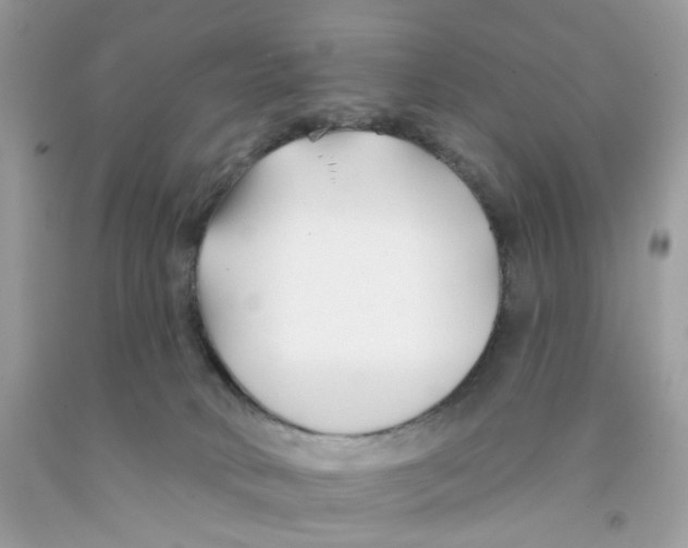 X0000091070034200709041229