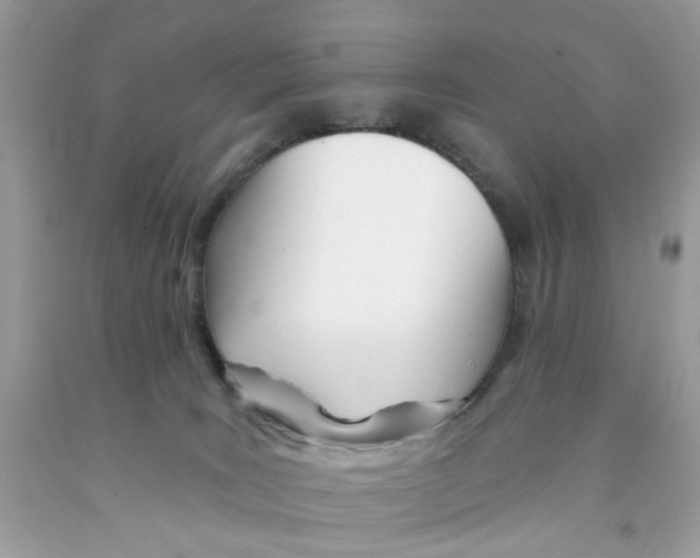 X0000091070035200709041229