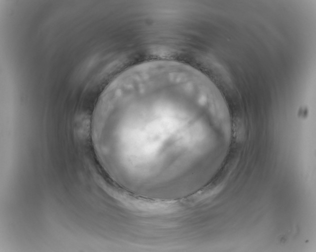 X0000091070036200709041229