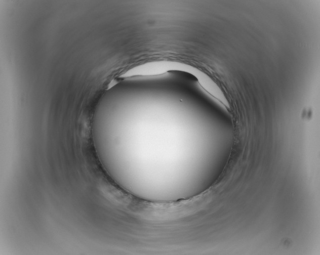 X0000091070037200709041229