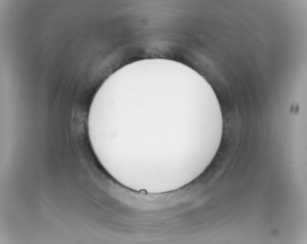 X0000091070038200709041229