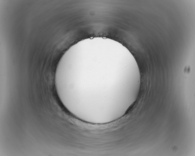 X0000091070039200709041229
