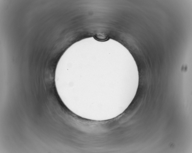 X0000091070040200709041229