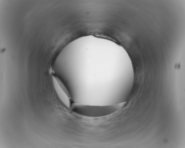 X0000091070041200709041229