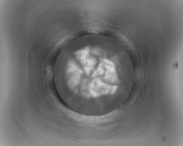 X0000091070043200709041228