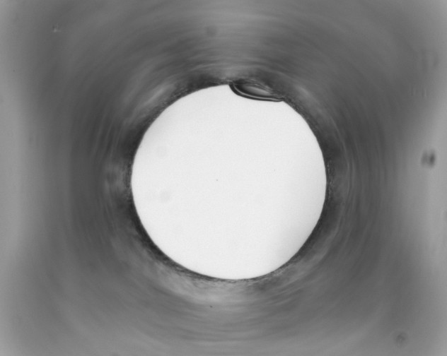 X0000091070044200709041228