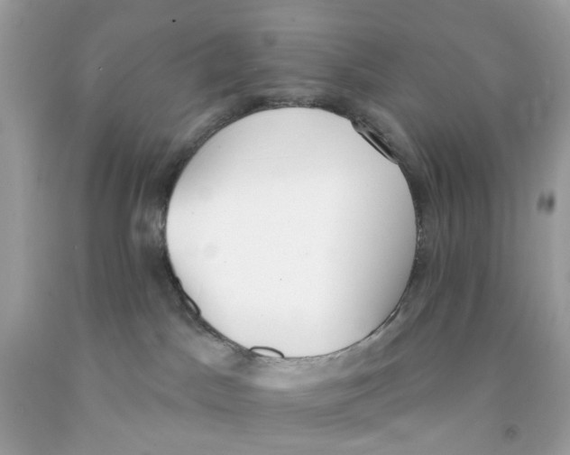 X0000091070045200709041228