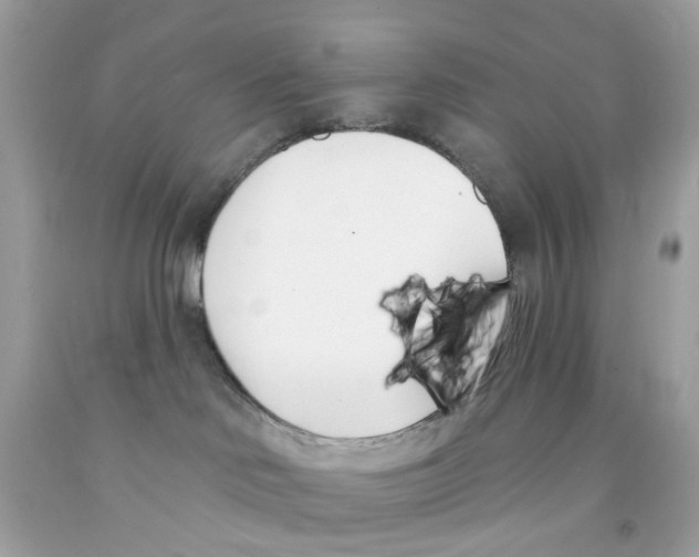 X0000091070046200709041228