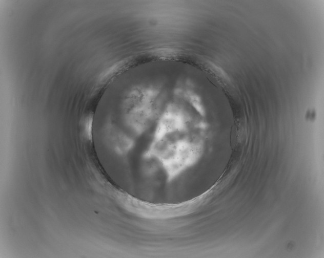 X0000091070047200709041228