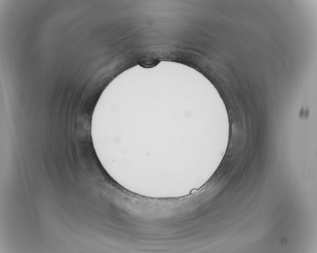 X0000091070048200709041228