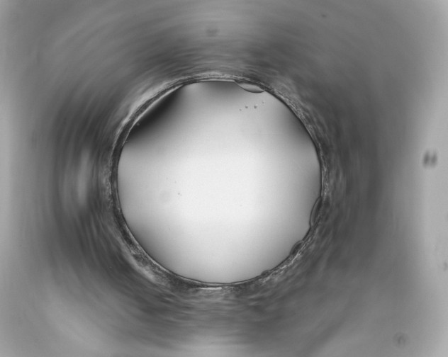 X0000091070050200709041228