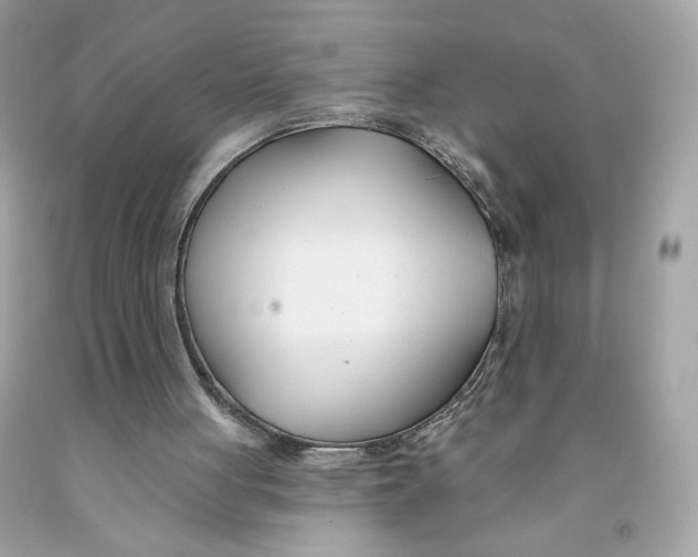 X0000091070051200709041228