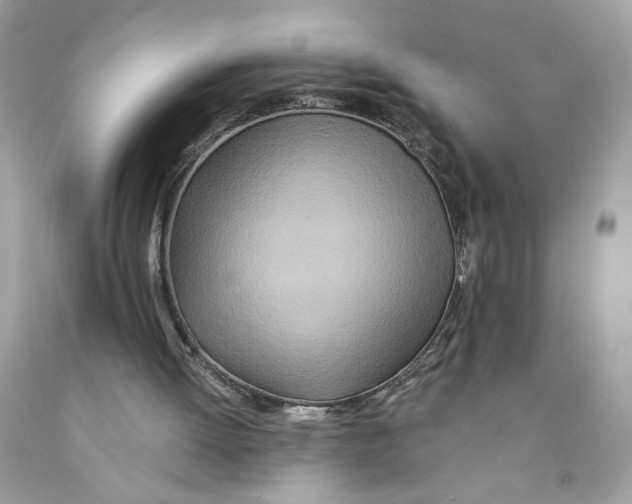 X0000091070052200709041228