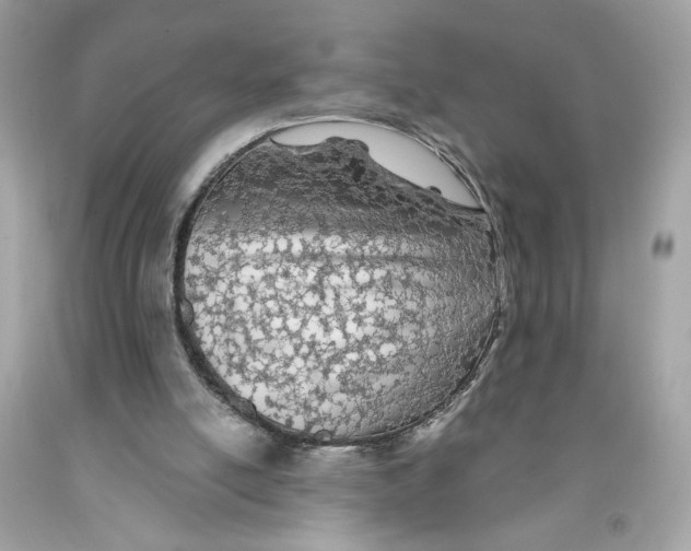 X0000091070054200709041228