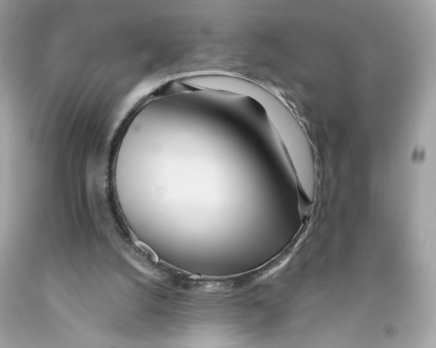 X0000091070056200709041228