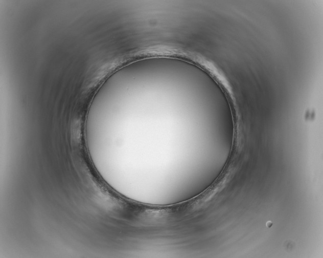 X0000091070057200709041228