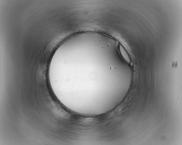 X0000091070058200709041228