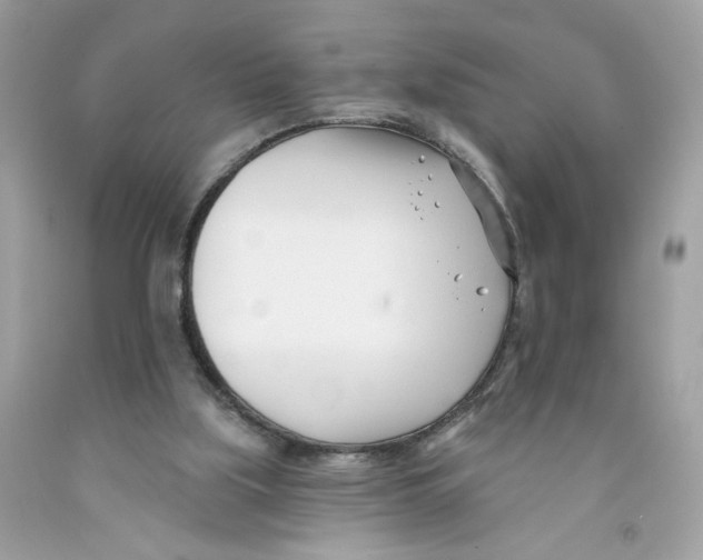 X0000091070059200709041228