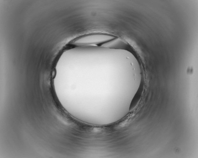 X0000091070060200709041228