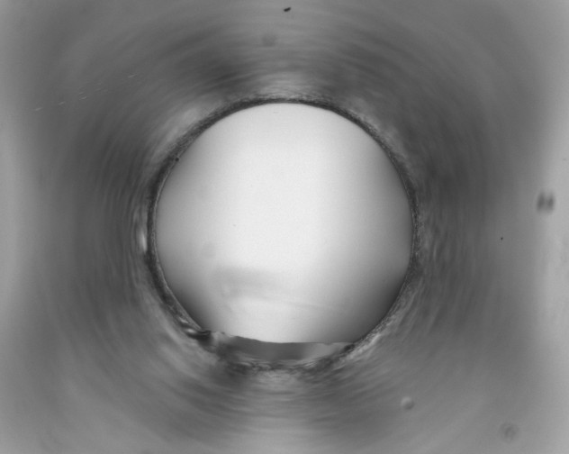 X0000091070062200709041228