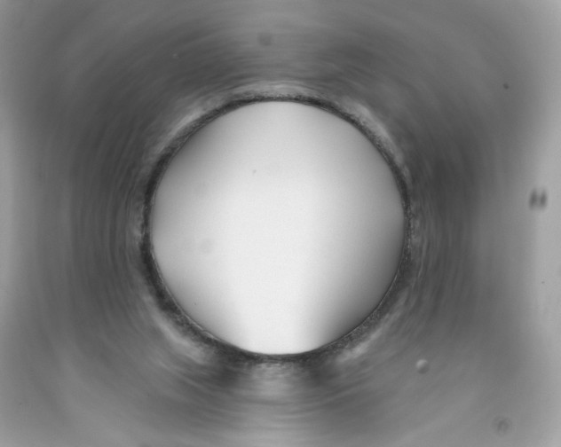 X0000091070063200709041228