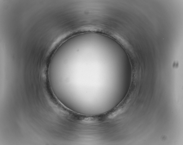 X0000091070064200709041228