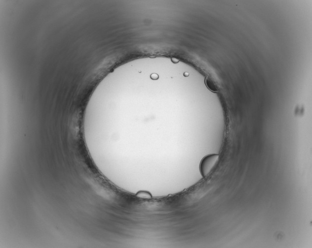 X0000091070065200709041228