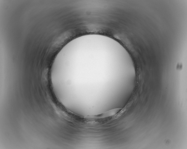 X0000091070066200709041228