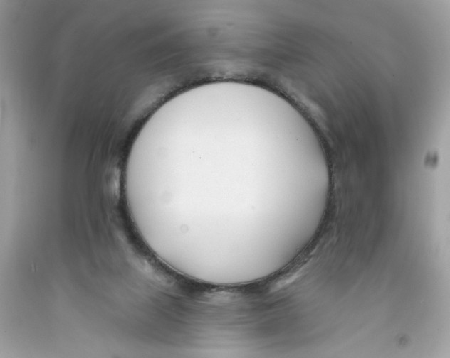 X0000091070067200709041228