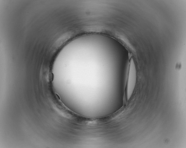 X0000091070068200709041228