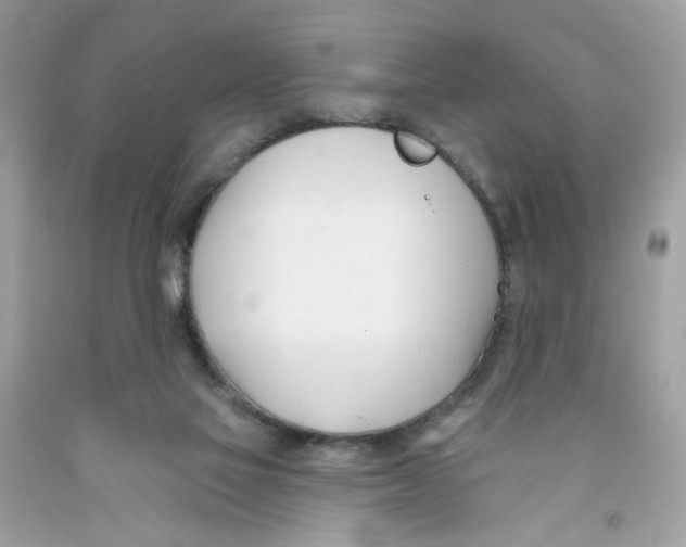 X0000091070069200709041228