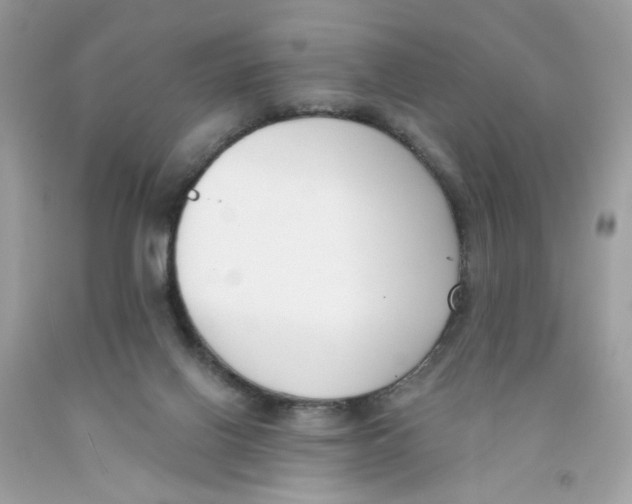 X0000091070070200709041228
