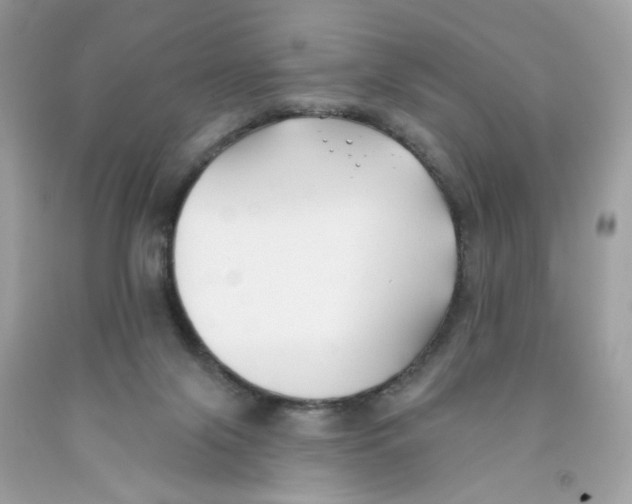 X0000091070071200709041228