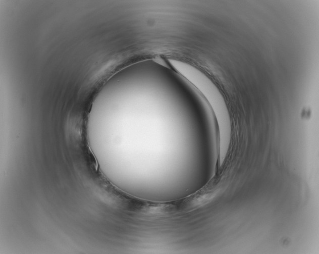 X0000091070072200709041228